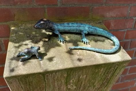 Die Heydemannsche Eidechse